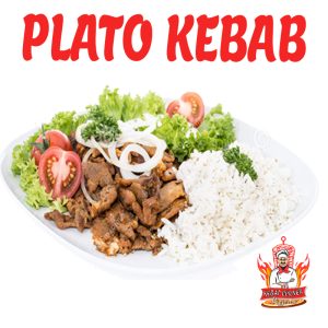 PLATO NORMAL